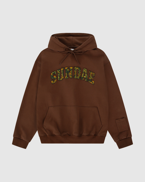 Boba Brown Chenille Arch Hoodie – Sundae School