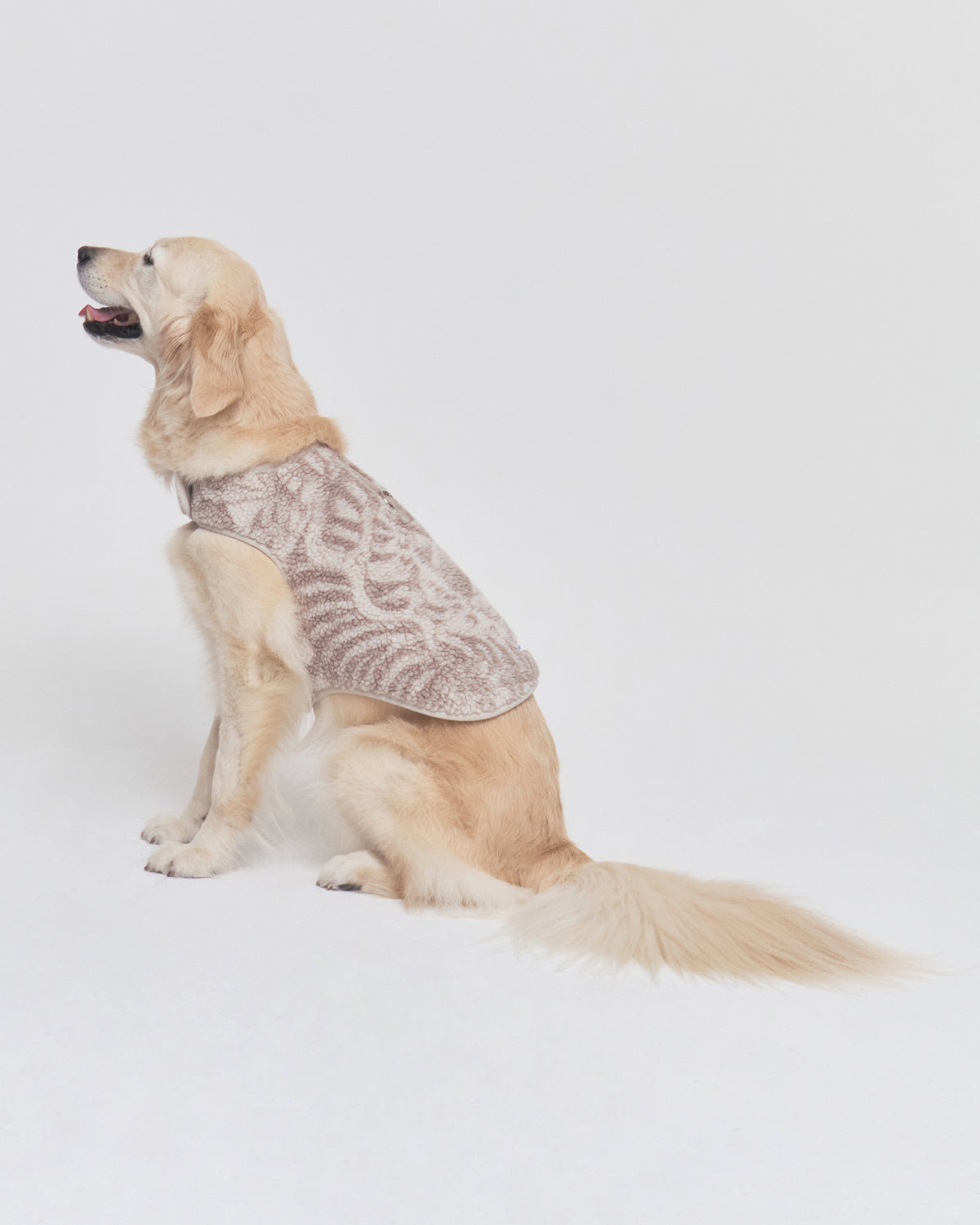 TAUPE IREZUMI DOGGIE FLEECE – Sundae School